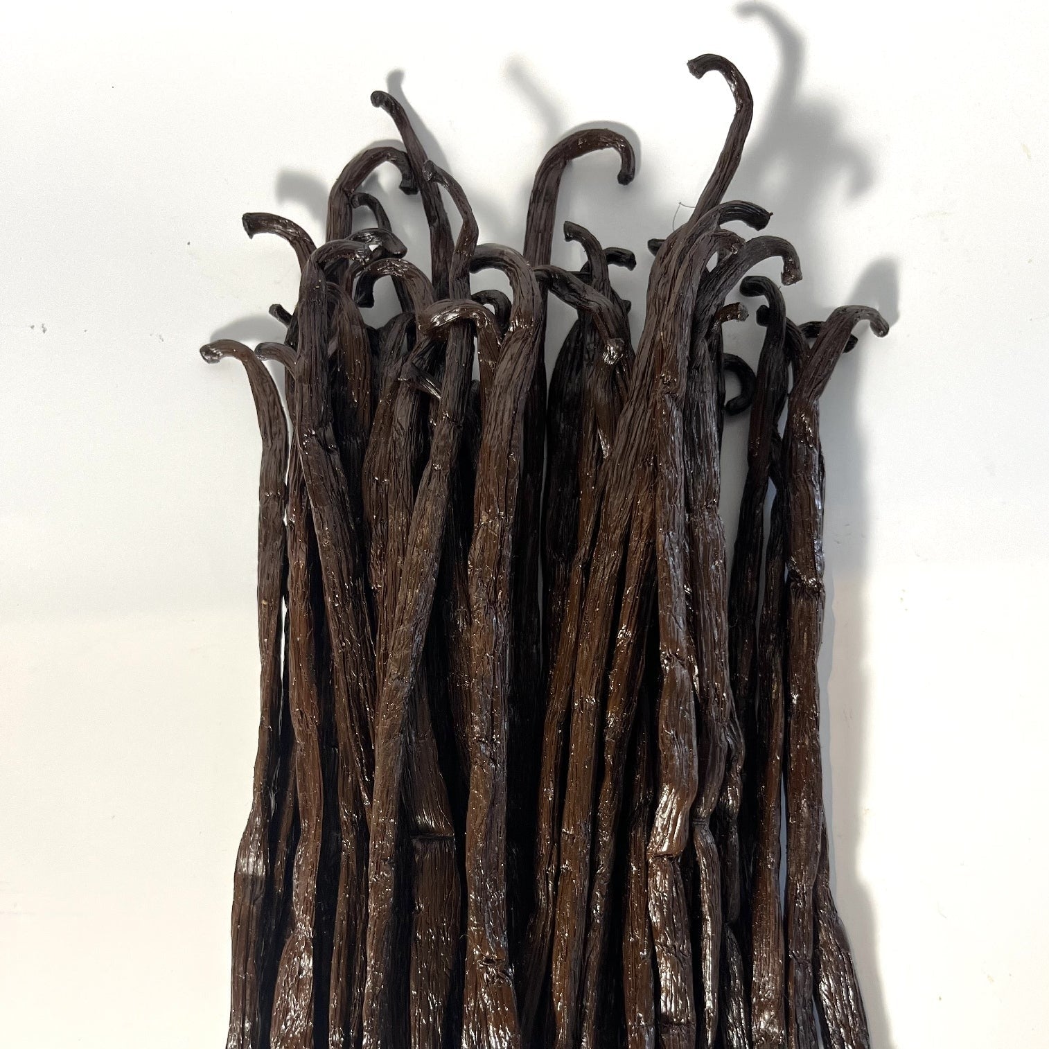 Premium Bourbon Madagascar Vanilla Beans 18cm